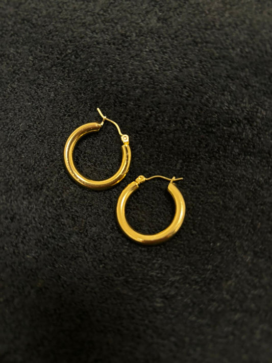 Luna Earrings